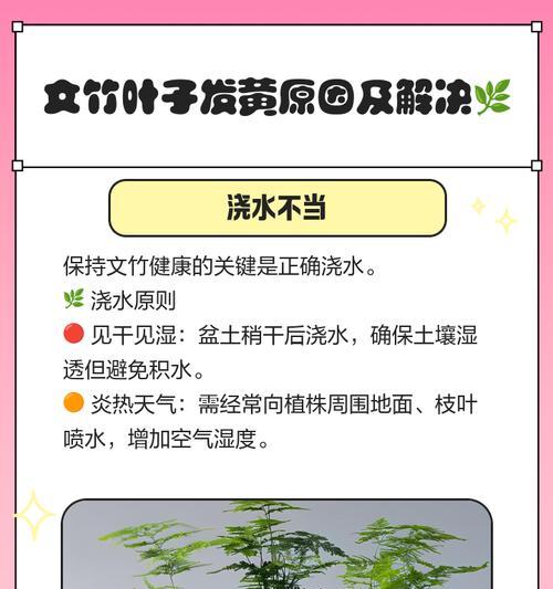 紫竹叶子枯萎发黄的处理方法是什么？