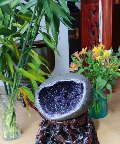聚宝盆小盆景怎么摆放？摆放位置有何讲究？