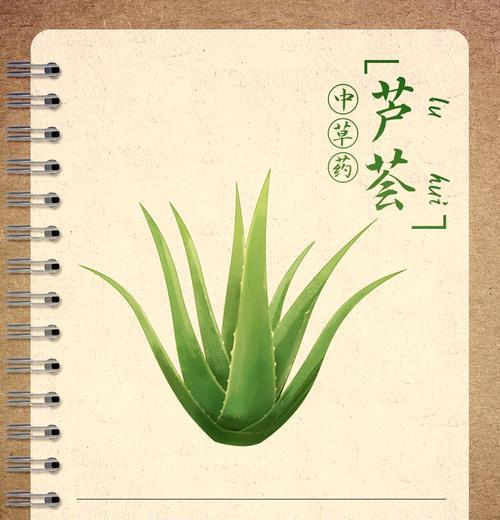 油葱观赏植物种类有哪些？
