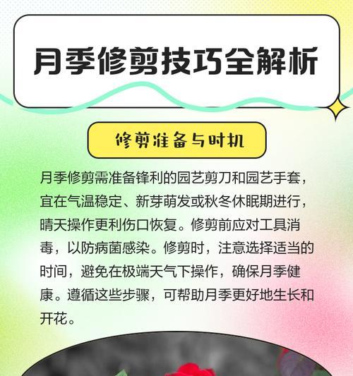 如何加固嫁接月季以防止脱落？