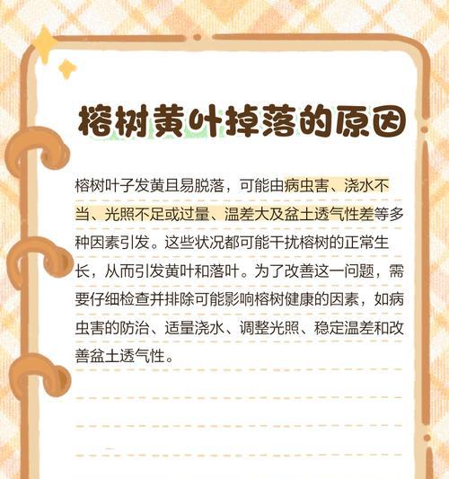木蓝植物叶子发黄的解决方法是什么？