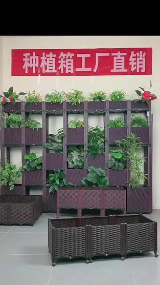 高丽花叶子发黄是什么原因？如何有效处理？