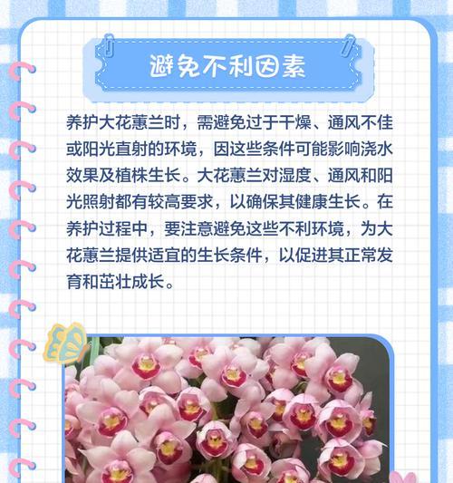 兰花分盆后如何正确浇水？有哪些注意事项？
