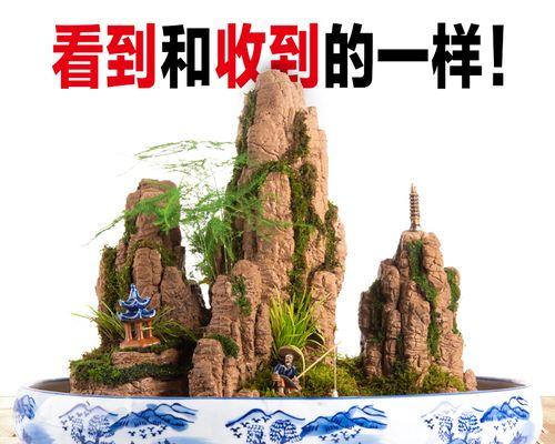 上水石过滤盆景的养护技巧有哪些？