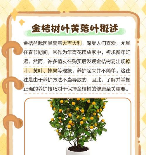 刚移栽的树木叶子发黄的原因是什么？