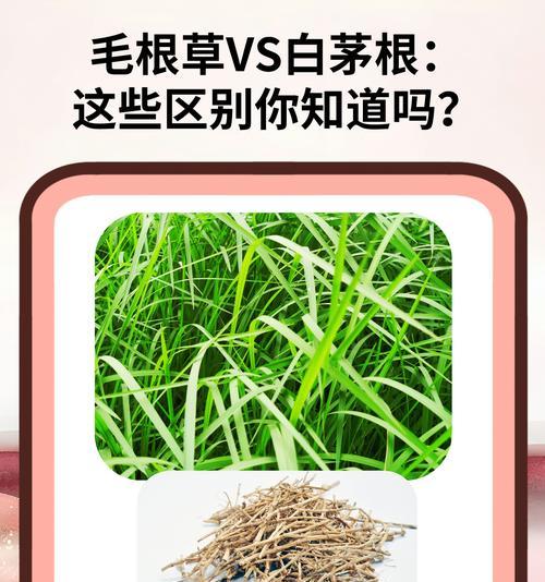 如何自制粗毛根肥料？自制粗毛根肥料的方法是什么？