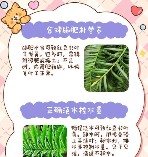 植物叶子发黄如何处理？