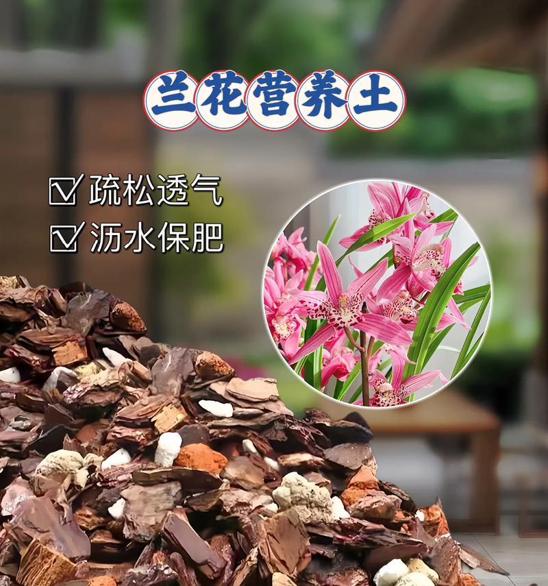 君子兰爆花土的配比方法是什么？