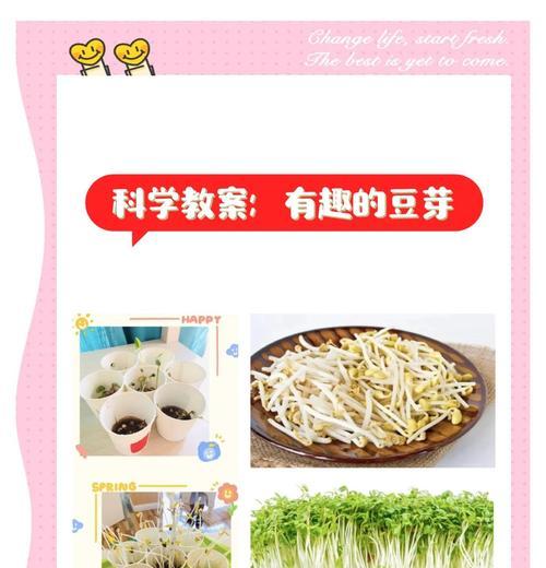 豆芽栽培中技术人员需具备哪些技能？