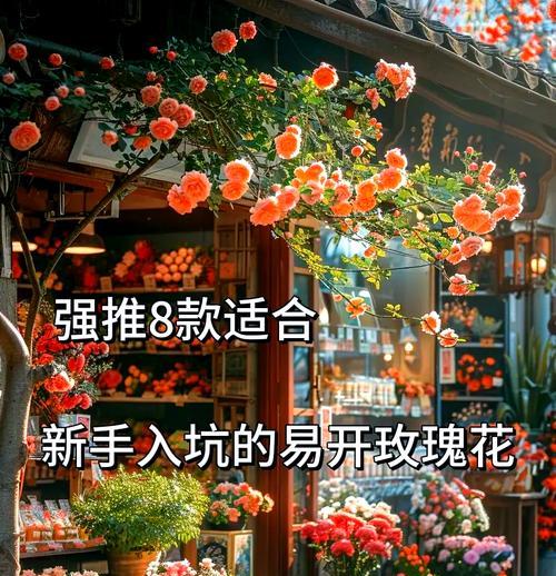 花友们有哪些实用的养花技巧？