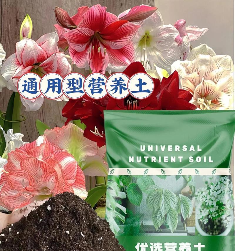 土壤营养土养花小技巧？怎样让花卉更健康？