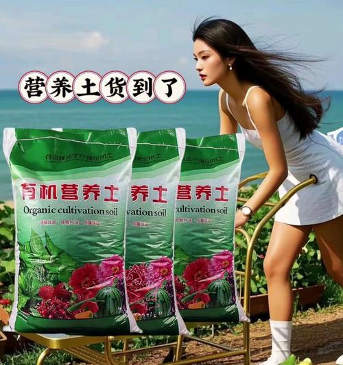 土壤营养土养花小技巧？怎样让花卉更健康？