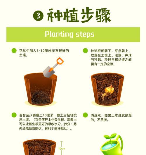 温室百合栽培的关键技术要点是什么？