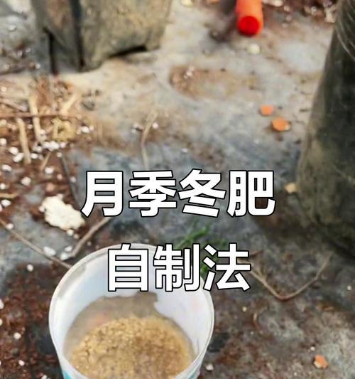 爬藤月季底肥埋设方法是什么？