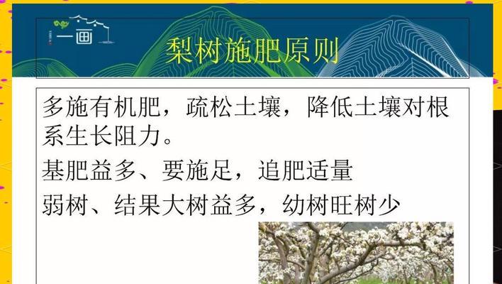 室内木本植物施肥技巧有哪些？