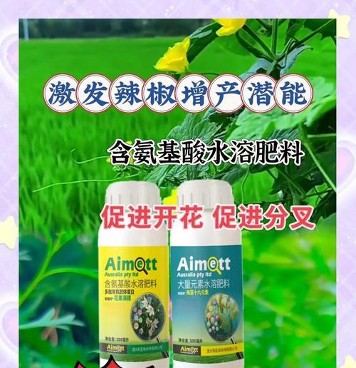 室内木本植物施肥技巧有哪些？