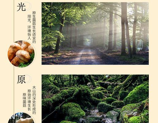 常温菌菇栽培技术要点是什么？
