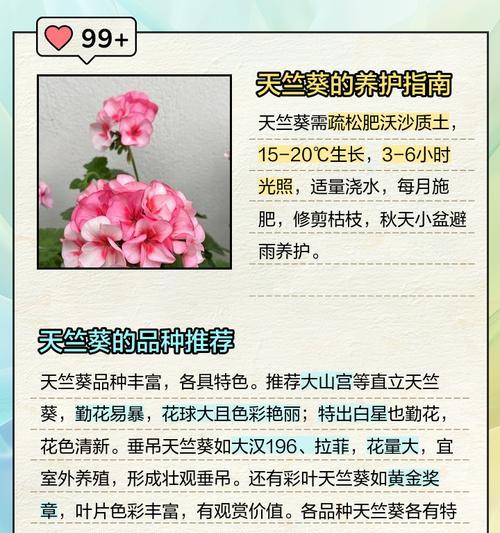 天竺葵盆栽幼苗的养护方法是什么？如何促进健康成长？