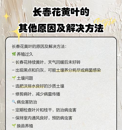 收到的花叶子发黄应该怎么办？