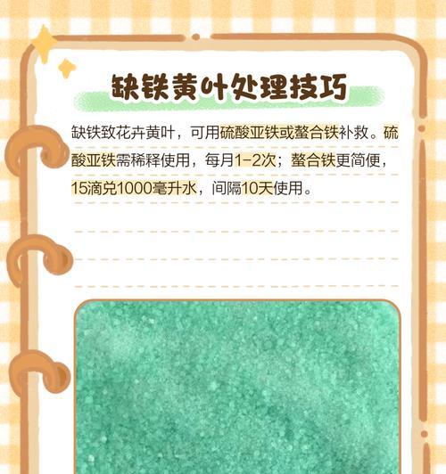 种花剪枝后叶子发黄怎么办？正确剪枝方法是什么？