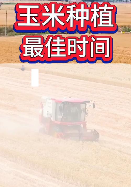 河南玉米最佳播种时间是什么时候？