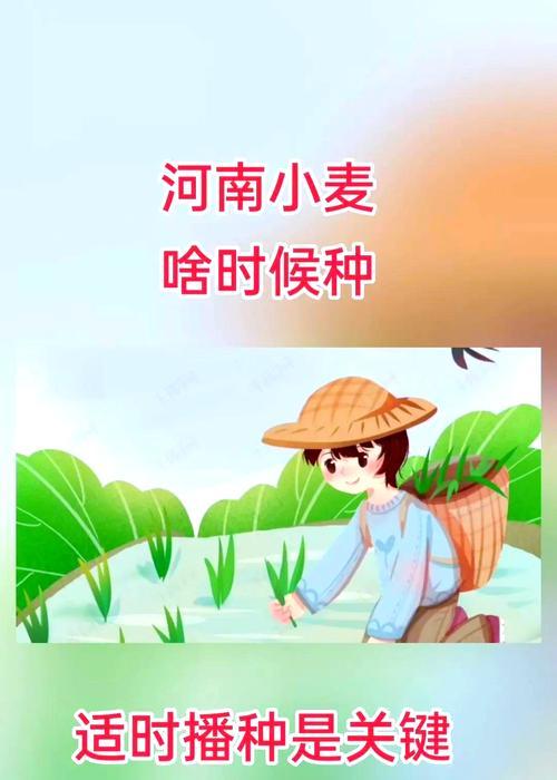 河南玉米最佳播种时间是什么时候？