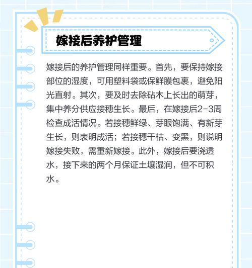 月季嫁接后的正确护理方法是什么？