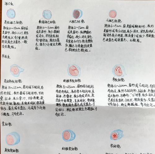 多浆植物细胞有哪些独特特点？