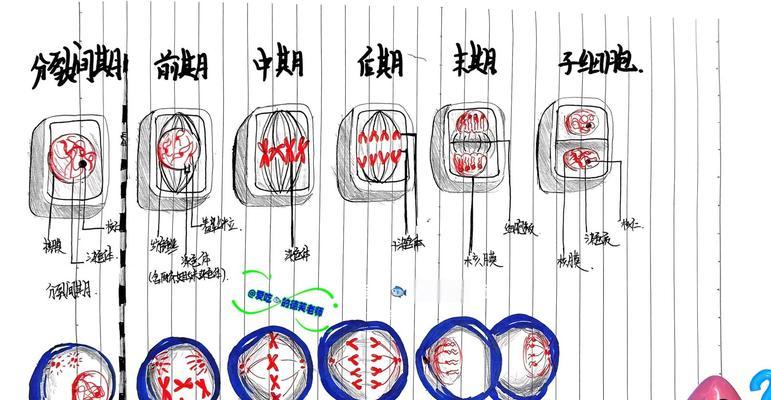 多浆植物细胞有哪些独特特点？