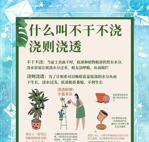 种植时哪种浇水方法最为有效？