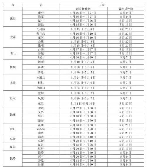 北方播种玉米的最佳温度是多少？如何选择合适的播种时间？