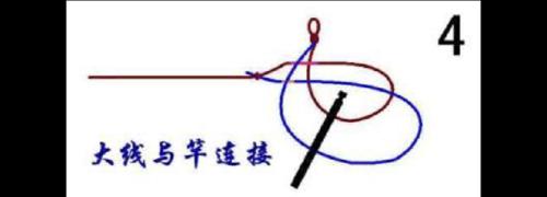 三角梅吸水绳的正确绑法是什么？绑法对生长有何影响？