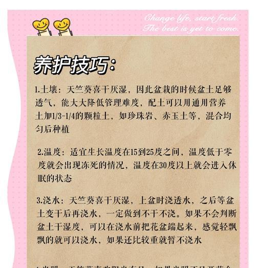 天竺葵莫奈小苗的养护和管理方法是什么？