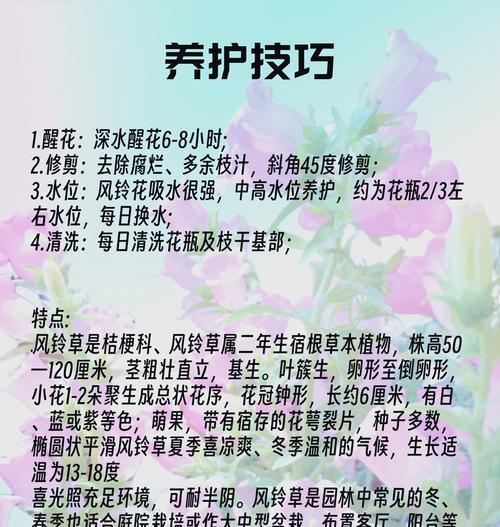 风铃花盆景的养护方法有哪些？