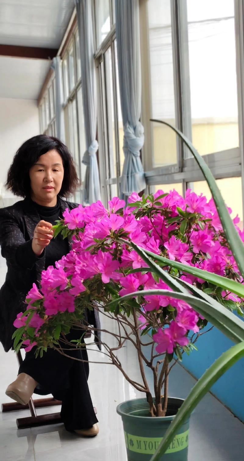 花枝养花有哪些实用的知识和技巧？