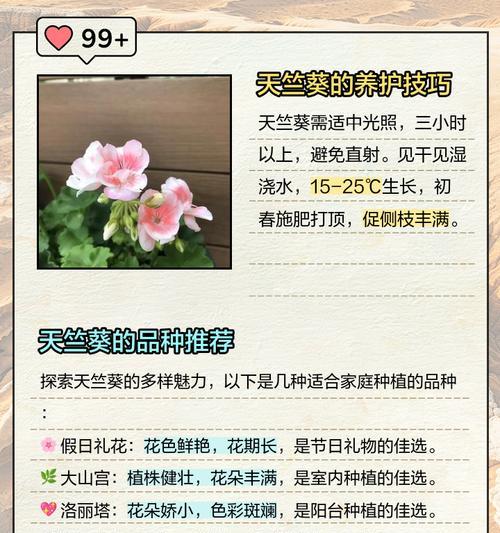 重瓣天竺葵直立开花的养护技巧是什么？