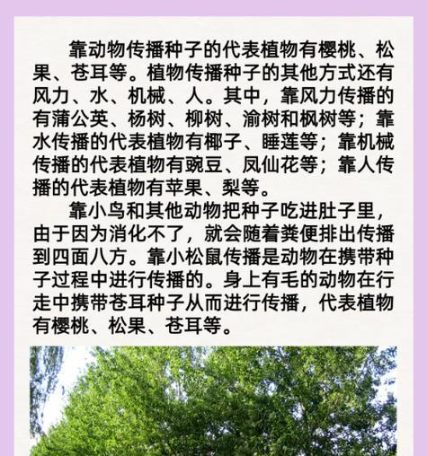 哪些植物通过自身传播种子？