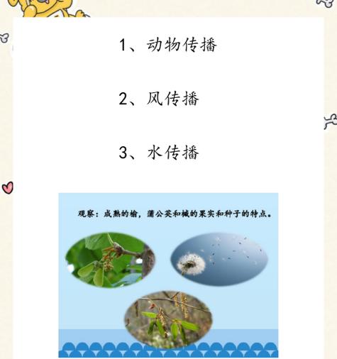 哪些植物通过自身传播种子？