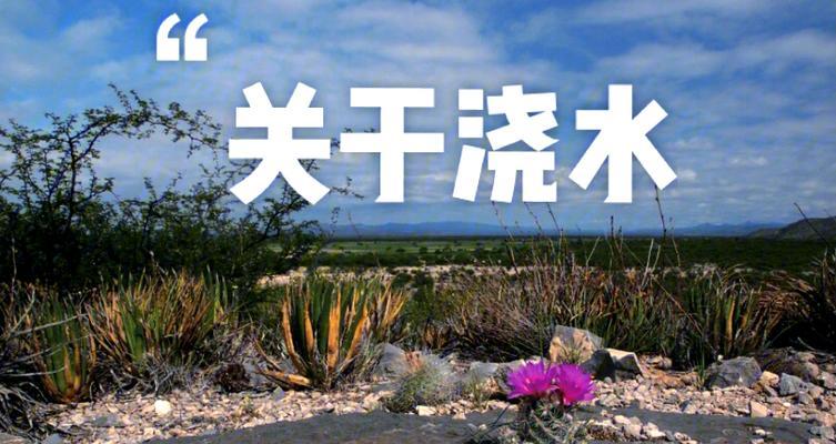 浇水均匀的方法？如何确保植物均匀吸收？