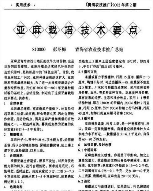 营养槽栽培的技术要求是什么？