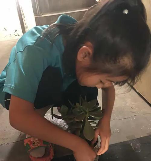 给花篮浇水最常用的方法是什么？如何避免过度浇水？