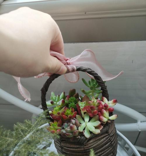 给花篮浇水最常用的方法是什么？如何避免过度浇水？