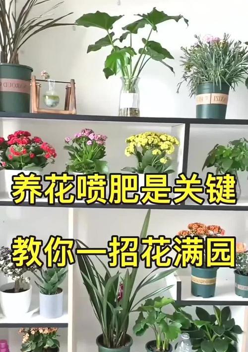 养花时烧水浇花的正确方法是什么？