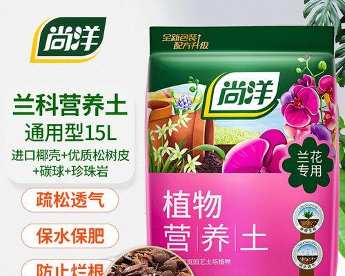 君子兰种植时应该使用哪种木炭？