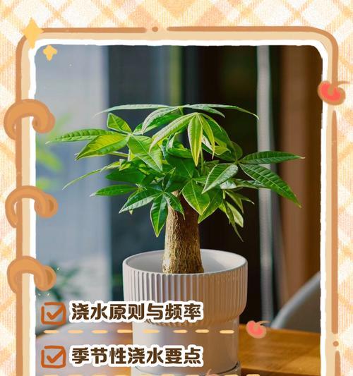 盆栽树如何正确浇水？