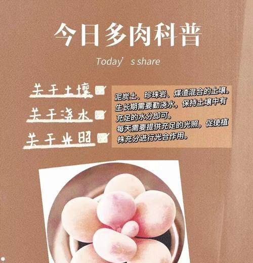 桃蛋幼苗浇水技巧？怎样正确给桃蛋浇水？