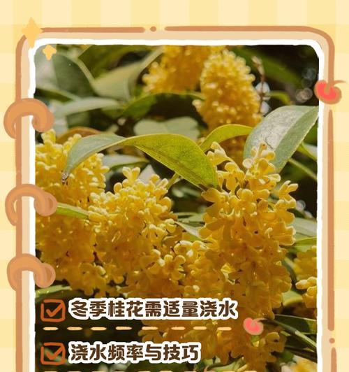 天气太干种树时如何正确浇水？