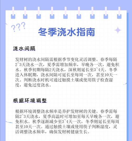 天气太干种树时如何正确浇水？