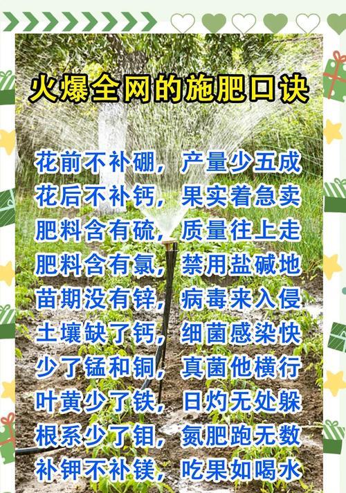 生活施肥技巧有哪些？家庭园艺施肥的正确方法