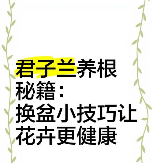君子兰移盆时根部过长如何处理？有哪些技巧？